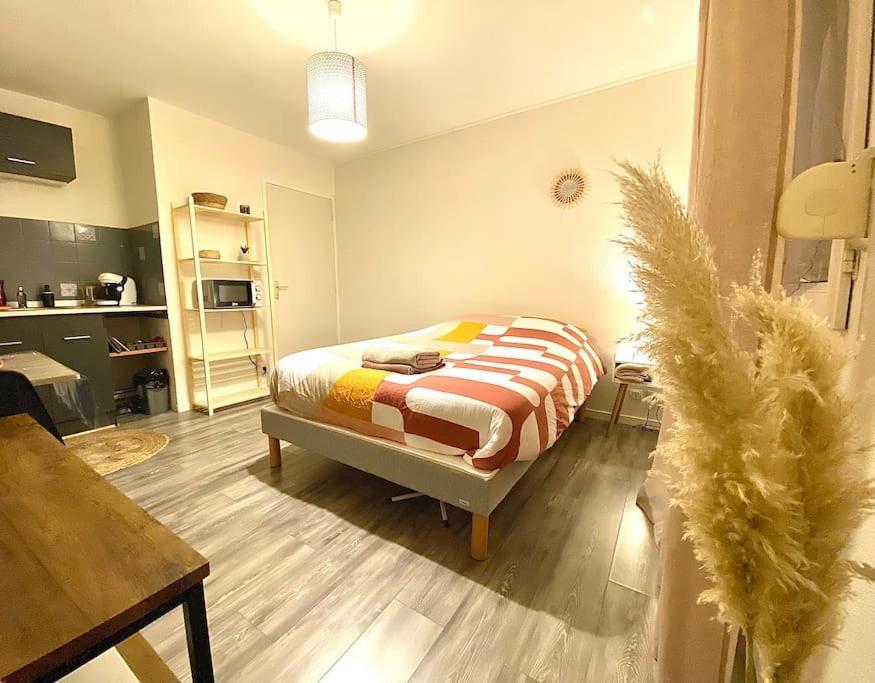 Appartement Au Calme Confort & Proche Centre à Le Mans Extérieur photo